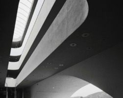 Details Image
